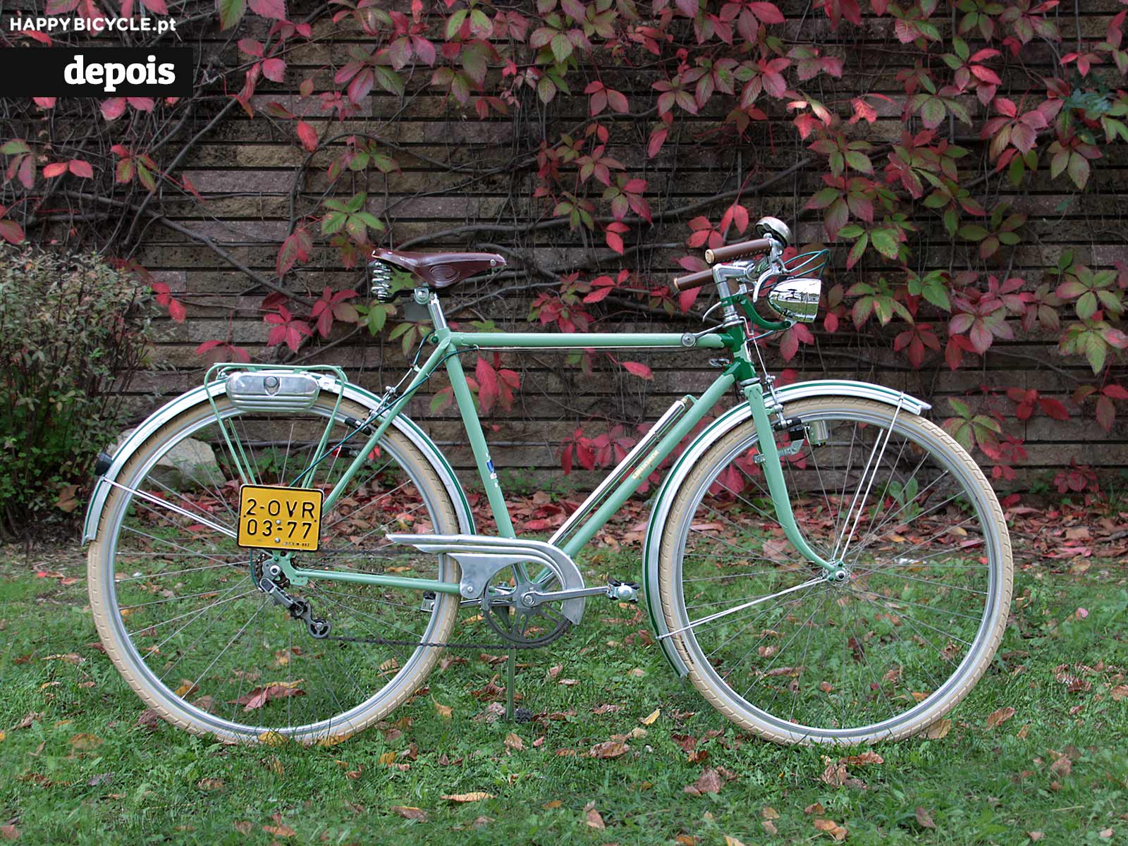 Restauro Bicicleta Peugeot Ruche 1950s